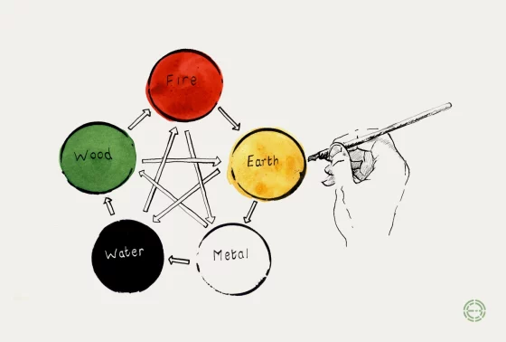 Watercolour diagram of the five elements with both cycles, the nourishing circle and the controlling star, and an ink drawing of a hand with a brush touching the Earth circle