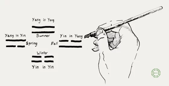 Ink drawing of a hand with a brush drawing the four seasons as pairs of yin and yang lines: Yang in Yang for summer, Yin in Yang for autumn, Yin in Yin for winter, Yang in Yin for spring