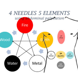 2021 Advanced 4 Needles 5 Elements - Netherlands