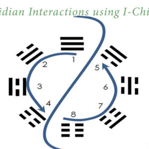 2021 Advanced Meridian Interactions using I-Ching - Netherlands