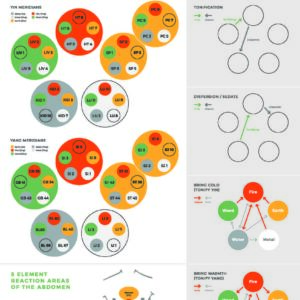 Pre-Order UAT 4 Needles 5 Elements Wall Chart (delivered to you at your next course)